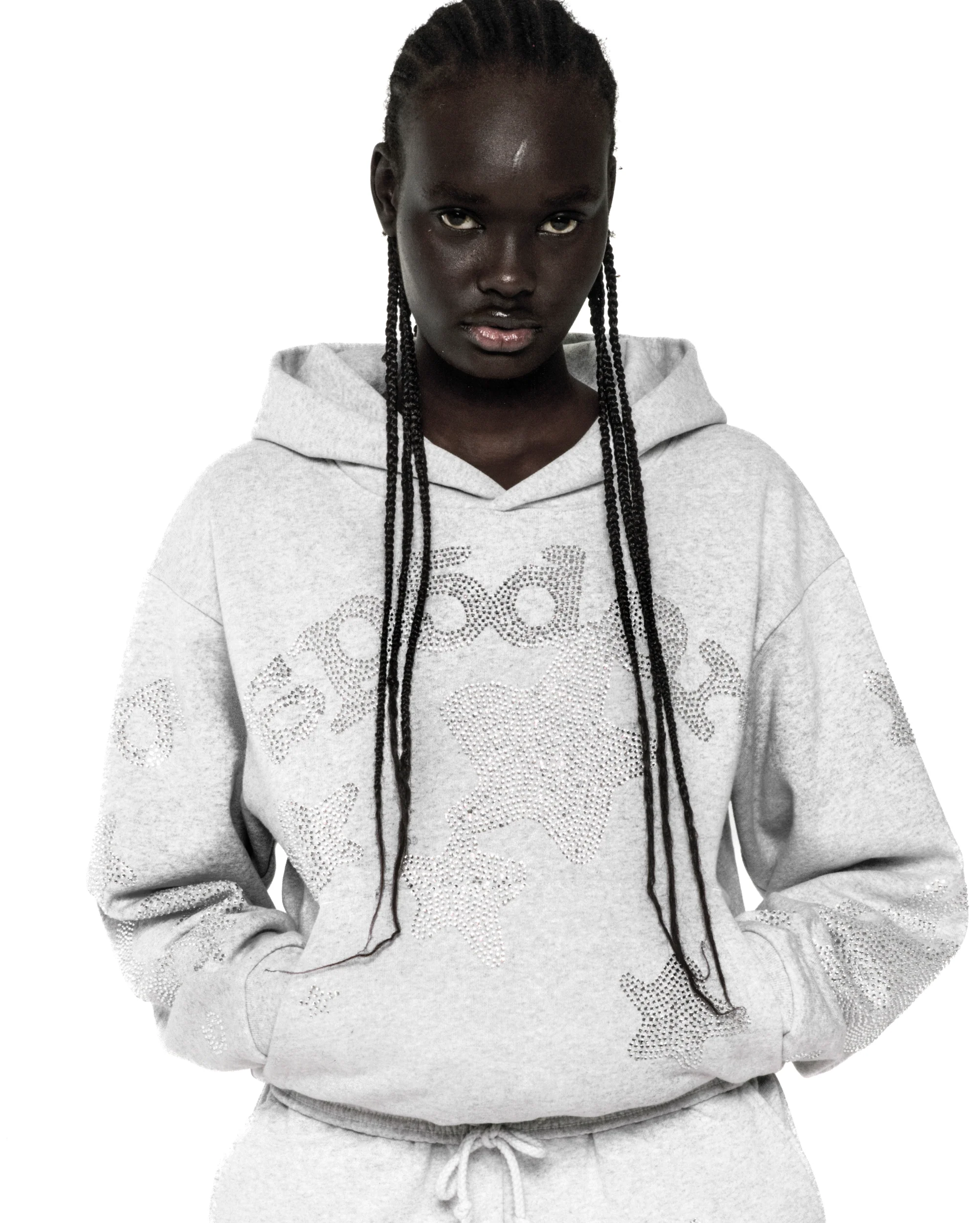 RHINESTONE BELUGA HOODIE - Image 16