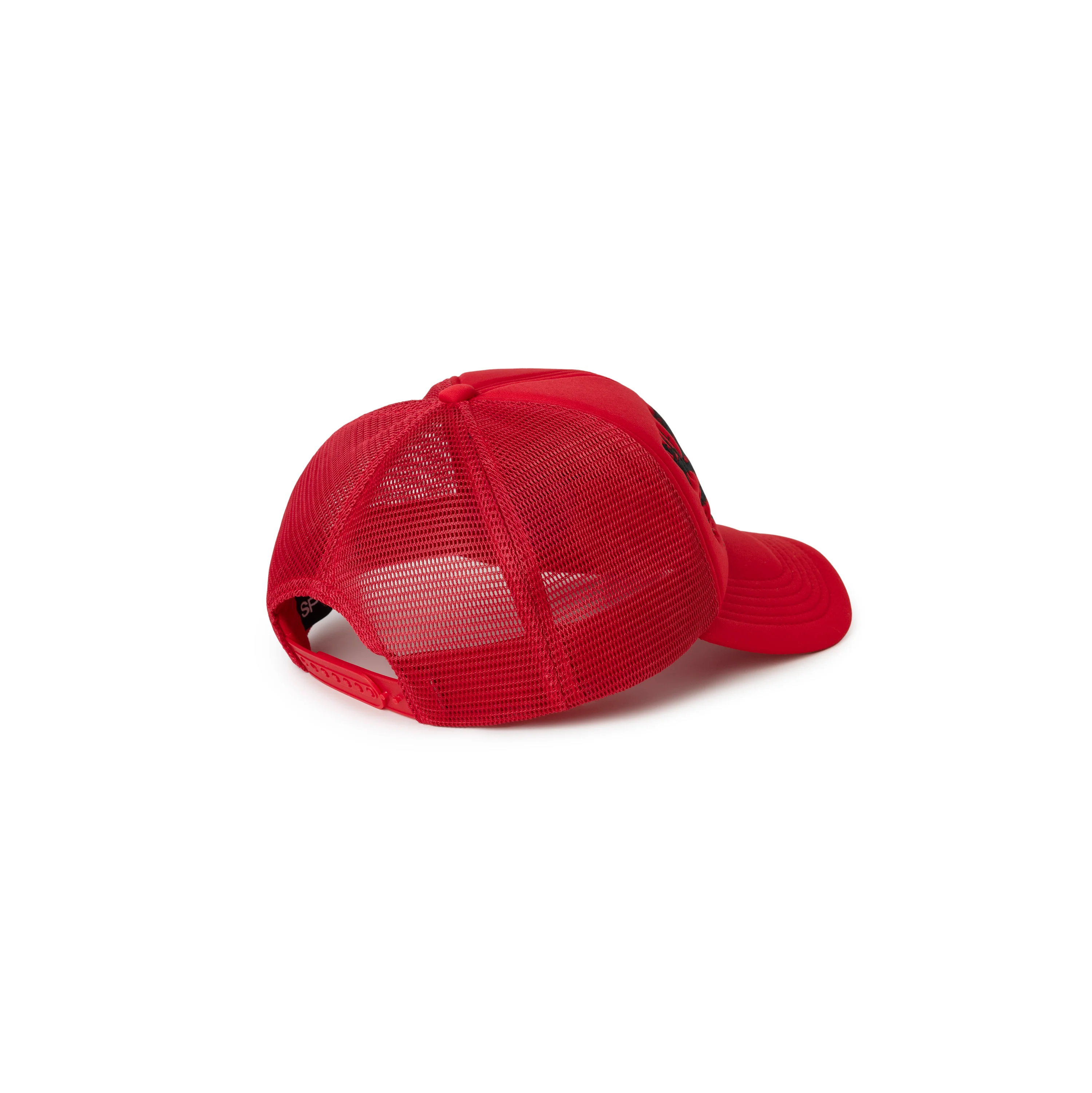 SILK WEB BANK TRUCKER - Image 2