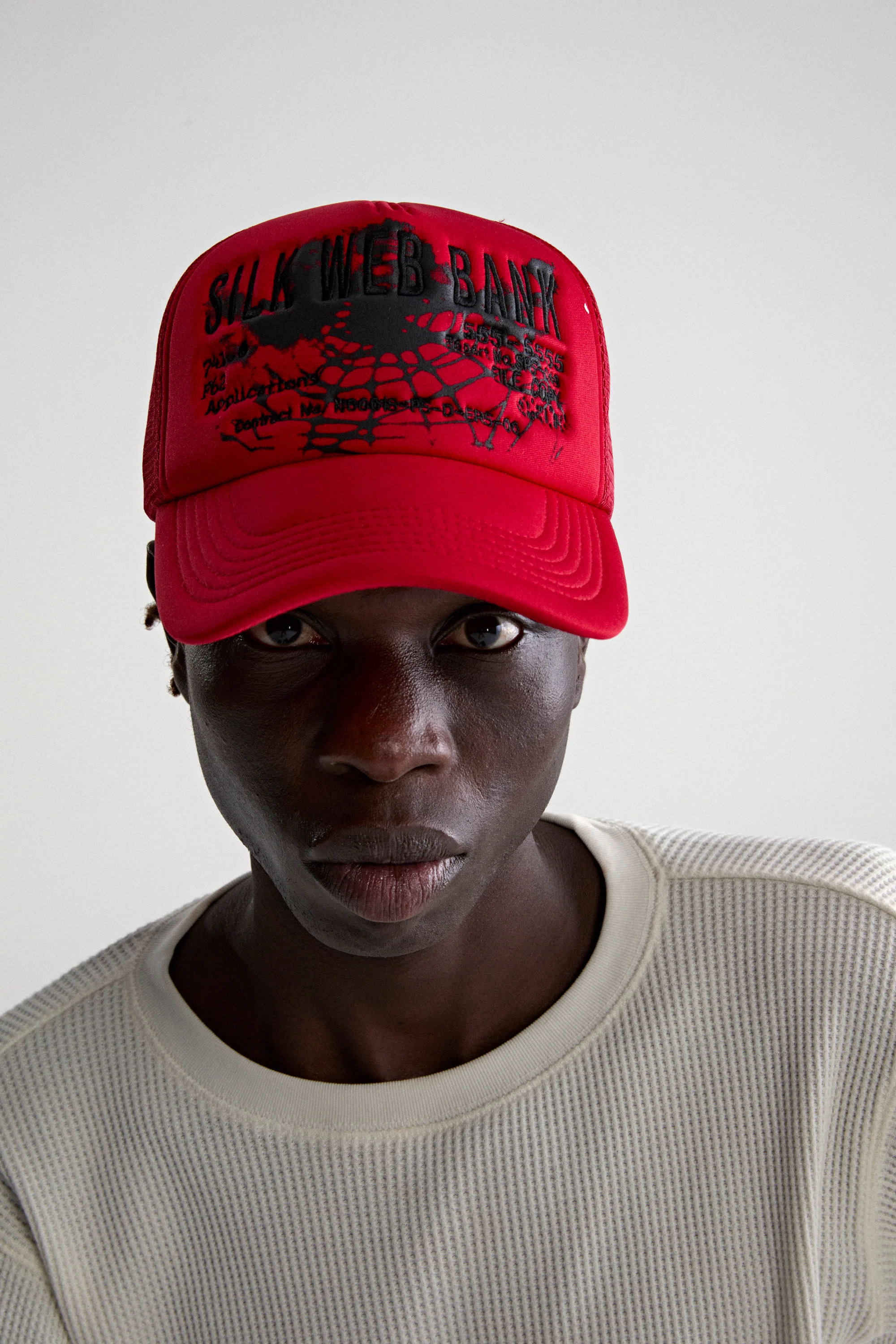 SILK WEB BANK TRUCKER - Image 3
