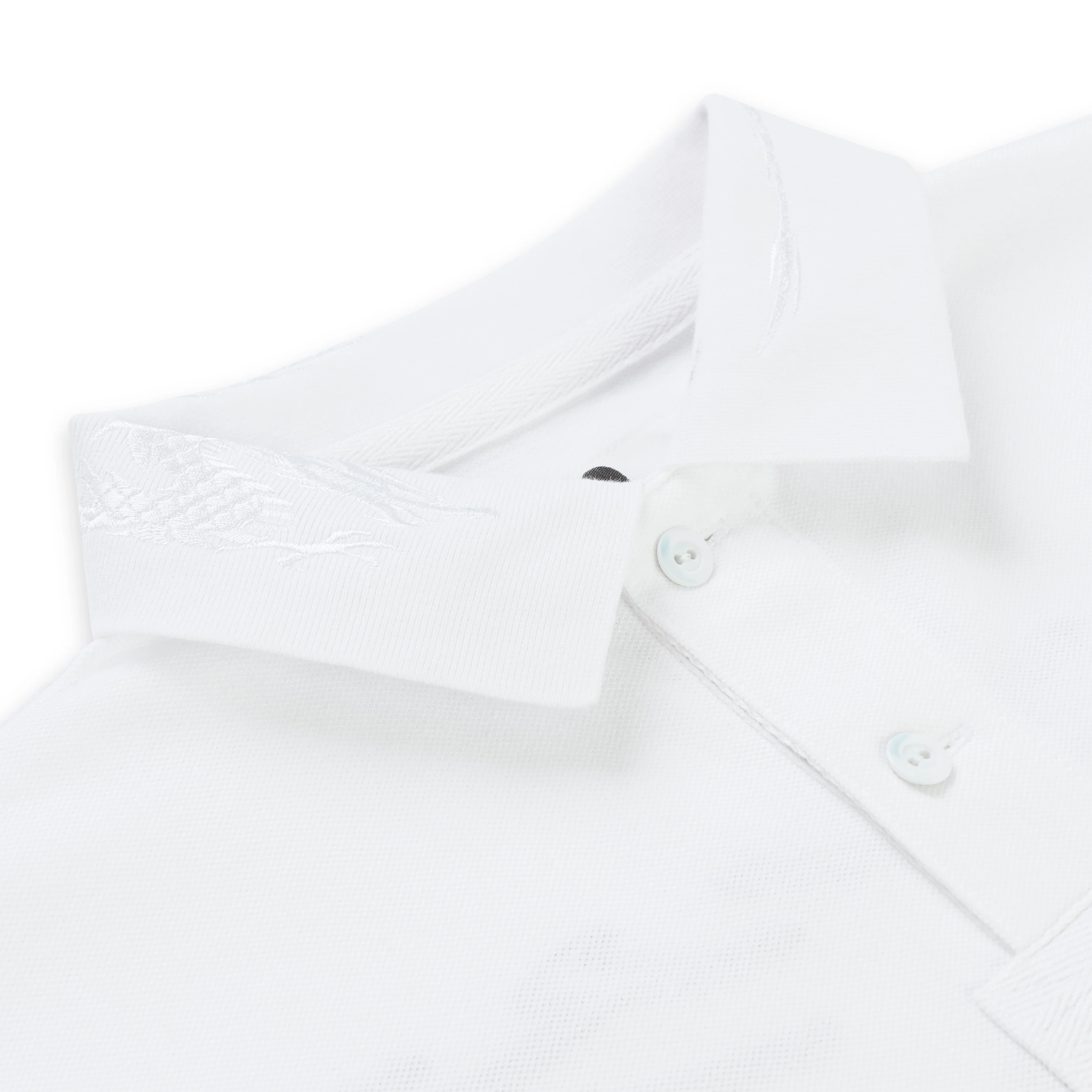 WORLDWIDE POLO - Image 5